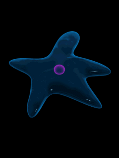 animaciya 240 320 Ocean 39.gif